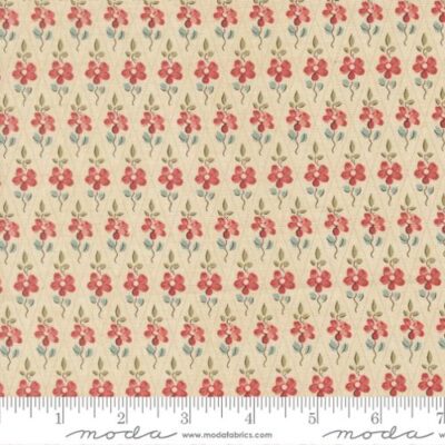 Paquerette Checks  Pearl