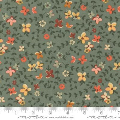 30761-16  Eucalyptus