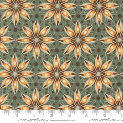 30762-19  Eucalyptus