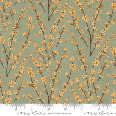 30765-18  Sage