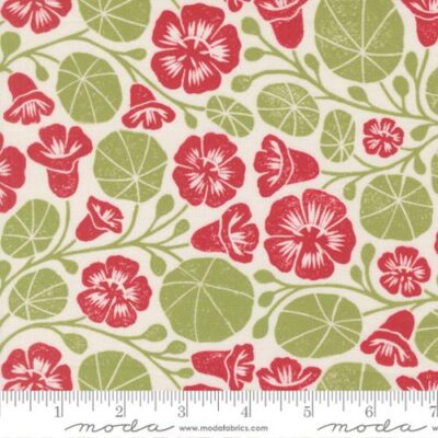 3323-11 Nasturtium Cream