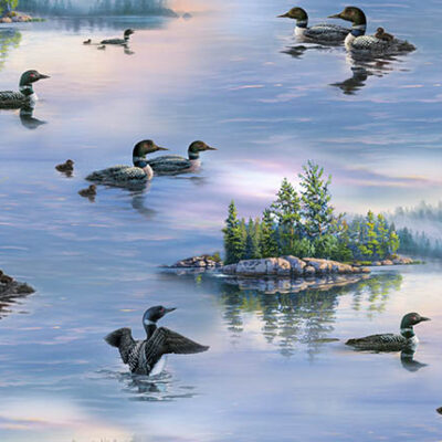 Loons  Blue