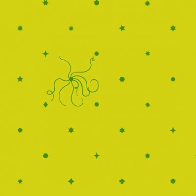 Diatom  Parakeet