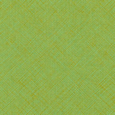 Afr-13503  Pistachio