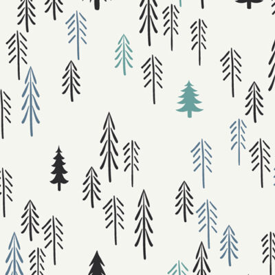 Loblolly  Pine