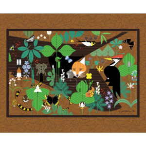  Woodland Wonders Poster Panel  Multi