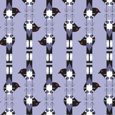 Spotted Tail Blackbird  Lavender