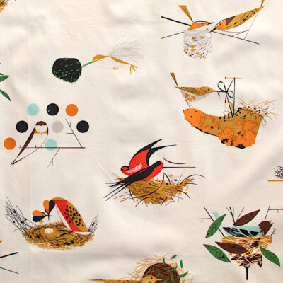 Bird Architects Main  Natural