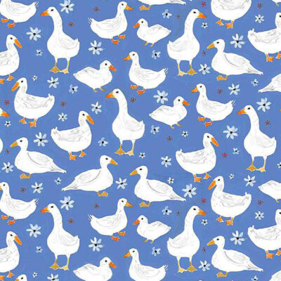 Ducks  Multi