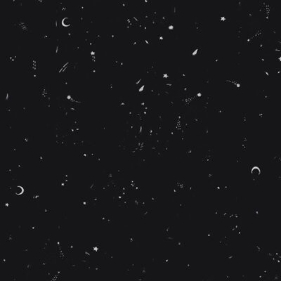 In The Dark Phantom