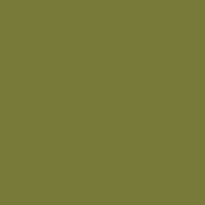 Flannel Solids Olive Flannel