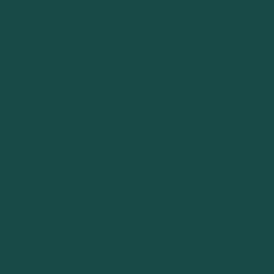 Flannel Solids Winter Spruce Flannel