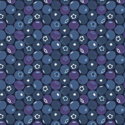 Blueberry  Blue Dusk