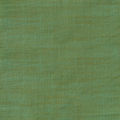 Yarn Dyed Cotton Slub Green Apple