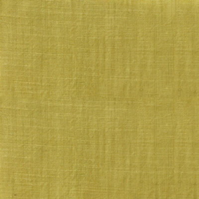 Yarn Dyed Cotton Slub Key Lime