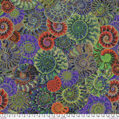 Ammonites  Dark