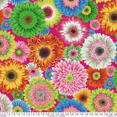 Gerbera Dasies Bright