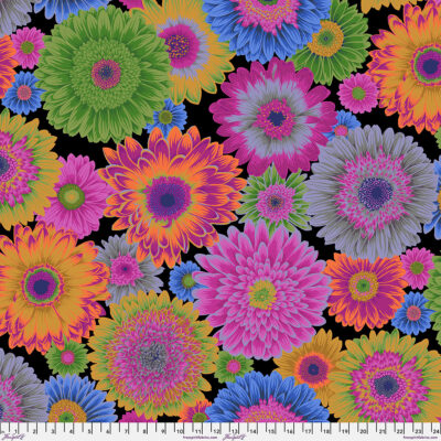 Gerbera Dasies Dark