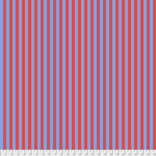 Tent Stripe  Lupine