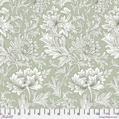 Chrysanthemum Tonal  Olive