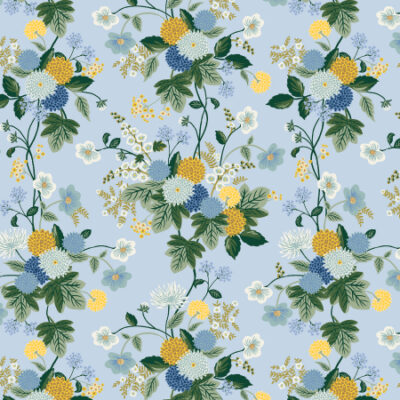 Dahlia  Blue