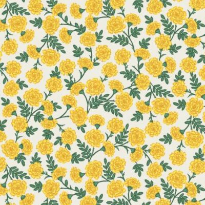 Dianthus  Yellow