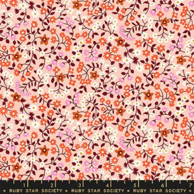 Strawberry Friends  Clothsline Floral