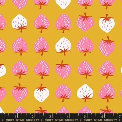 Strawberry Friends  Strawberry