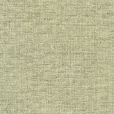 Faux Linen  Ecru Sb-88100D1-1