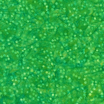 Confetti  Srk-23299-47 Grass