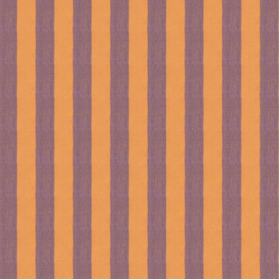 Wide Stripe  Cantaloupe
