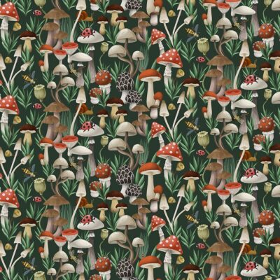 The Fungi Kingdom Forest
