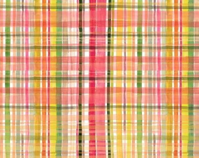 Fall Plaid  Multi