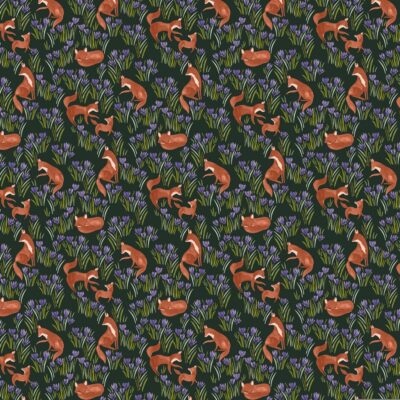 Crocus Field Midnight