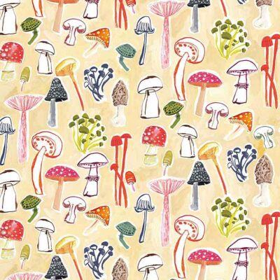 Funghi  Multi