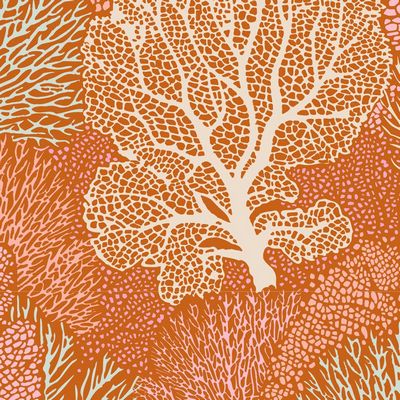 Coral Reef  Ginger