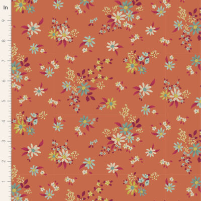 Daisyfield  Ginger