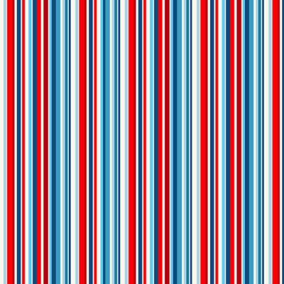 Straight Stripe  Multi