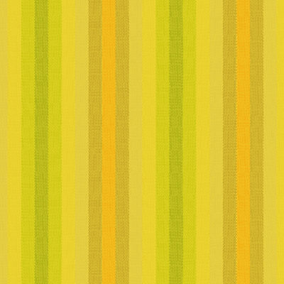 Stripes  Sunshine