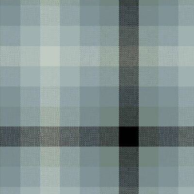 Plaid  Charcoal